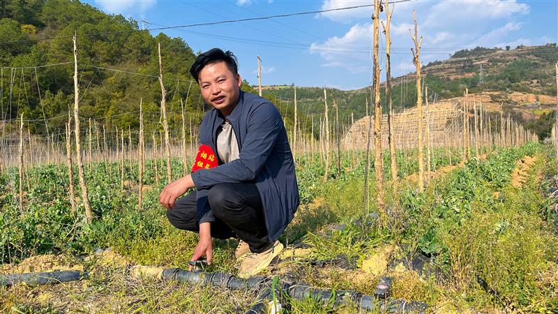 自从用上小滴灌 旱地变成“致富田”